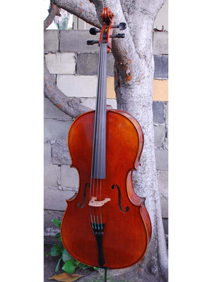 Johannes Seibert model 700 'Master' - 4/4 Cello