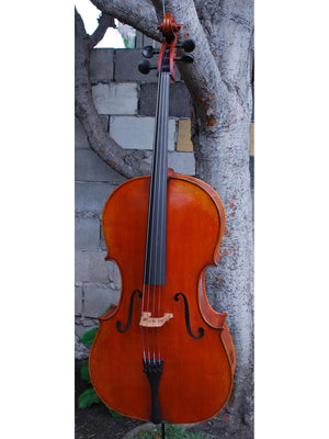 Albert Nebel model 601 'Guarneri del Gesu' - 4/4 Cello (A)