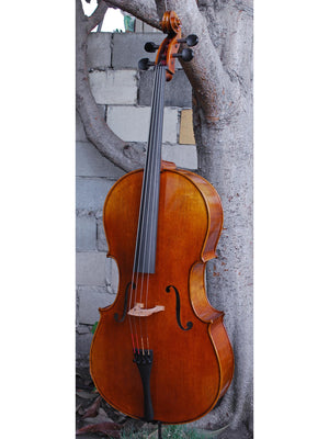 Johannes Seibert model 600 - 4/4 Cello (B)