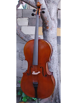 Antonio Fiorini 'Stradivari' 7/8 Cello