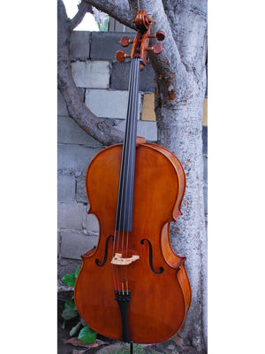 Eastman model 830 with Italian Poplar 4/4 Cello