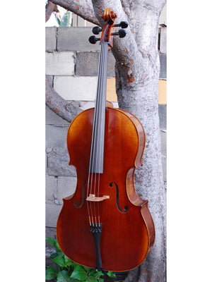 Scott Cao STC600 -  3/4 Cello Used