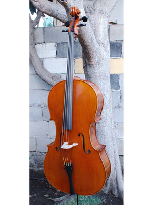 Calin Wultur Model #5 Piatti Strad 4/4 Cello