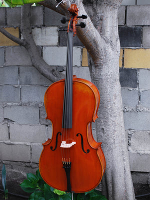 Eastman model 405 3/4 Cello