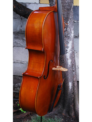 Pietro Lombardi 'Stradivari' 4/4 Cello