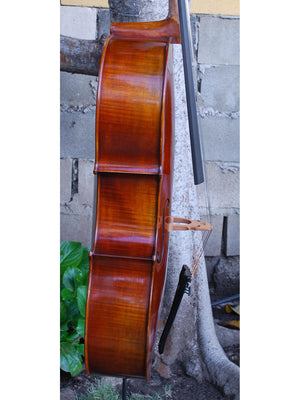 Vivo Eurowoods 7/8 Cello