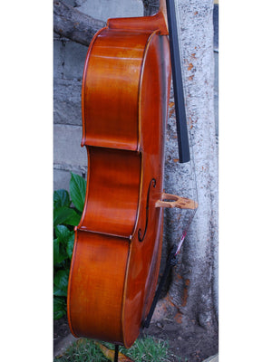 Albert Nebel model 601 'Guarneri del Gesu' - 4/4 Cello (A)