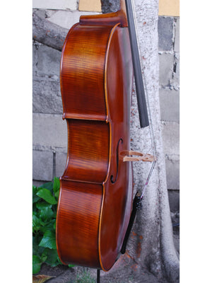 Antonio Fiorini 'Stradivari' 7/8 Cello