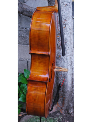 Eastman model 830 with Italian Poplar 4/4 Cello
