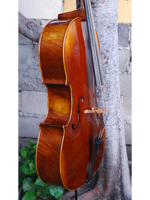 Scott Cao STC600 -  3/4 Cello Used