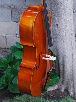 Eastman model 405 3/4 Cello