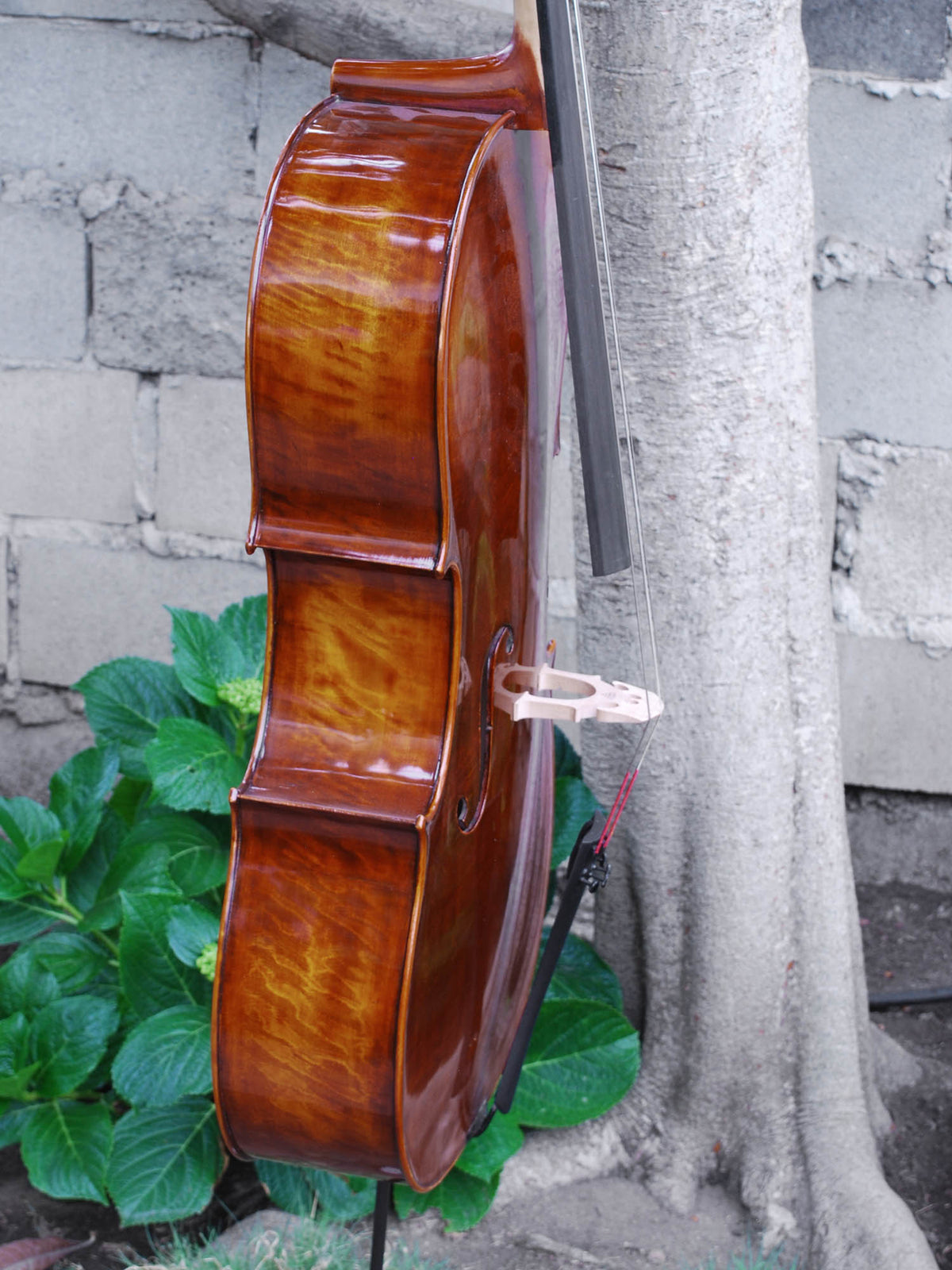 C.L. Wynn 520 'Rogeri' 4/4 Cello