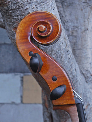 Jan Szlachtowski Master Level 'Gofriller' 4/4 Cello