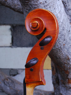Galileo Arcellaschi 1960 4/4 Cello