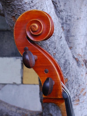 Galileo Arcellaschi 1960 4/4 Cello