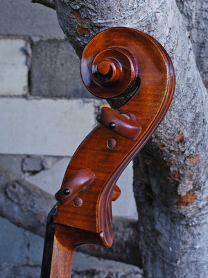 Eastman Advanced Series model 405 'Stradivarius' 4/4 Cello