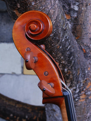 Pietro Lombardi 'Stradivari' 4/4 Cello