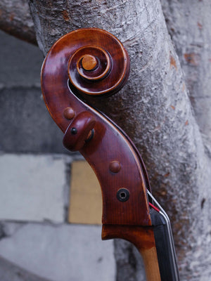Eastman model 305 1/2 Cello Used