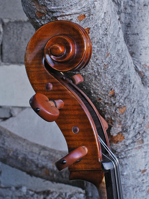 Eastman Advanced Series model 405 'Stradivarius' 4/4 Cello