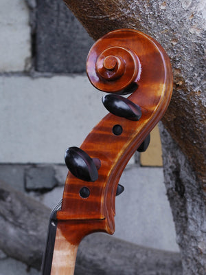 Eastman model 405 3/4 Cello