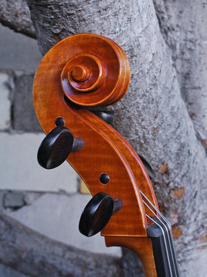 Alessandro model 220 7/8 Cello