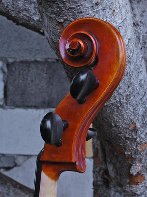 C.L. Wynn 620 'Strad' 7/8 Cello