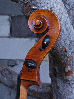 Eastman model 830 Maple 4/4 Cello