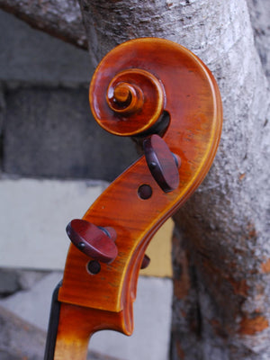 Salvatore Callegari 'Gofriller 1693' Master Copy 4/4 Cello