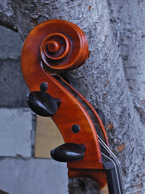 C.L. Wynn 620 'Strad' 7/8 Cello