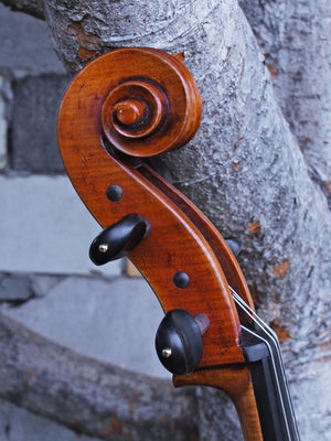 Eastman model 830 Maple 4/4 Cello