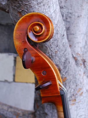 Salvatore Callegari 'Gofriller 1693' Master Copy 4/4 Cello