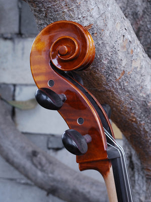 C.L. Wynn 520 'Rogeri' 4/4 Cello