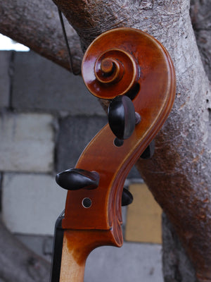 Vivo Limited Eurowoods 'Stradivari' 4/4 Cello