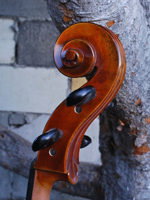 Vivo Eurowoods 7/8 Cello