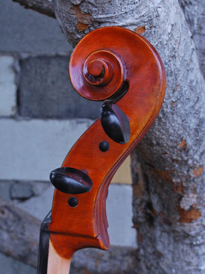 Albert Nebel model 601 'Guarneri del Gesu' - 4/4 Cello (A)