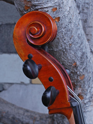 Albert Nebel model 601 'Guarneri del Gesu' - 4/4 Cello (A)
