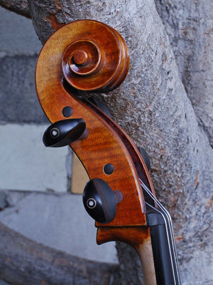 Johannes Seibert model 600 - 4/4 Cello (B)