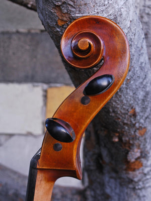 Antonio Fiorini 'Stradivari' 7/8 Cello