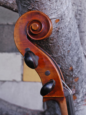 Antonio Fiorini 'Stradivari' 7/8 Cello