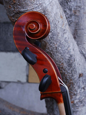 Johannes Seibert model 250 3/4 Cello