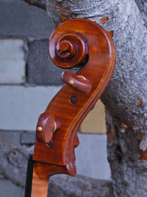 Eastman model 830 with Italian Poplar 4/4 Cello