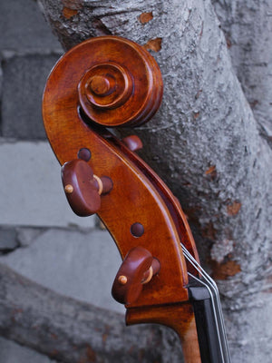 Eastman model 830 with Italian Poplar 4/4 Cello