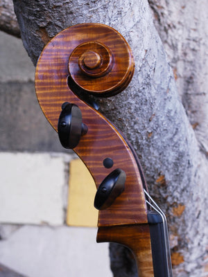 Scott Cao STC600 -  3/4 Cello Used