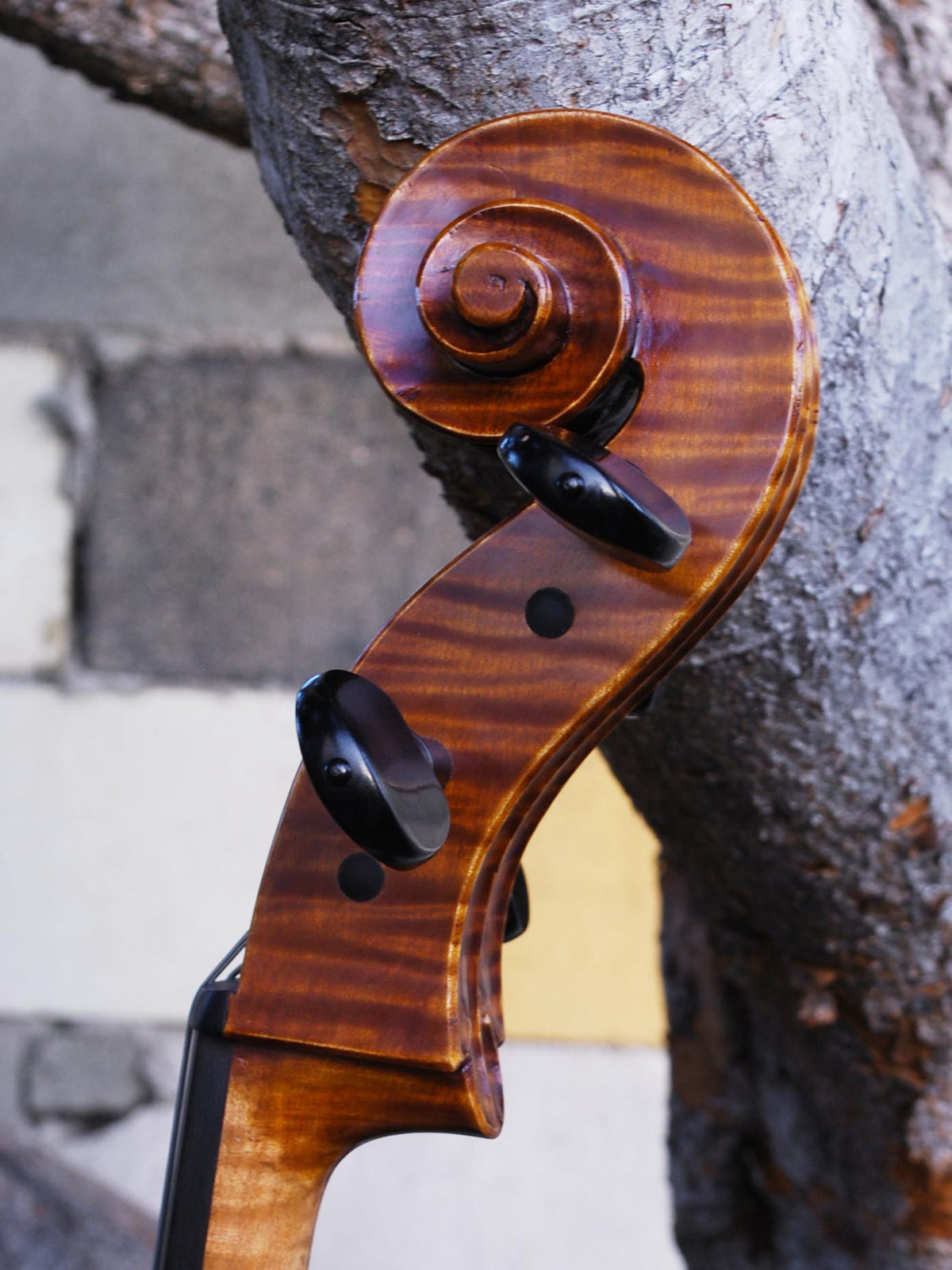 Scott Cao STC600 -  3/4 Cello Used