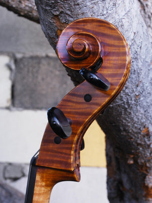 Scott Cao STC600 -  3/4 Cello Used