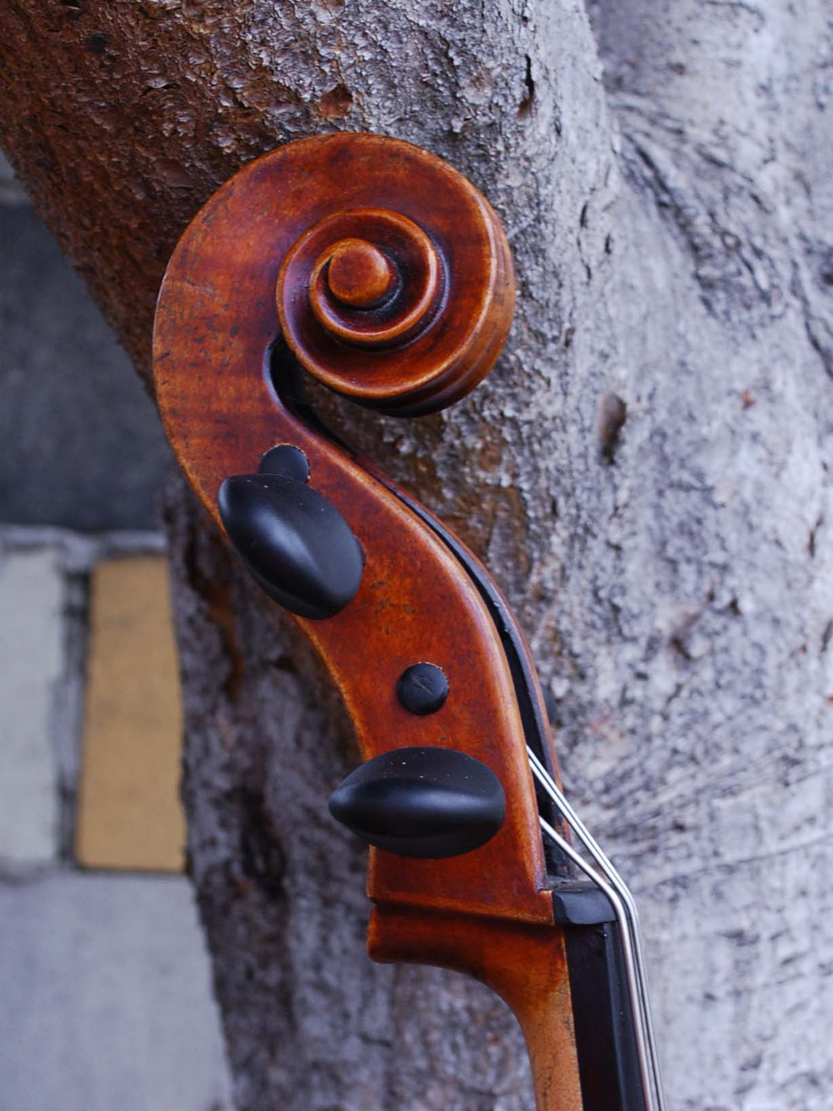 Rudolph Doetsch 701 1/4 Cello -  used