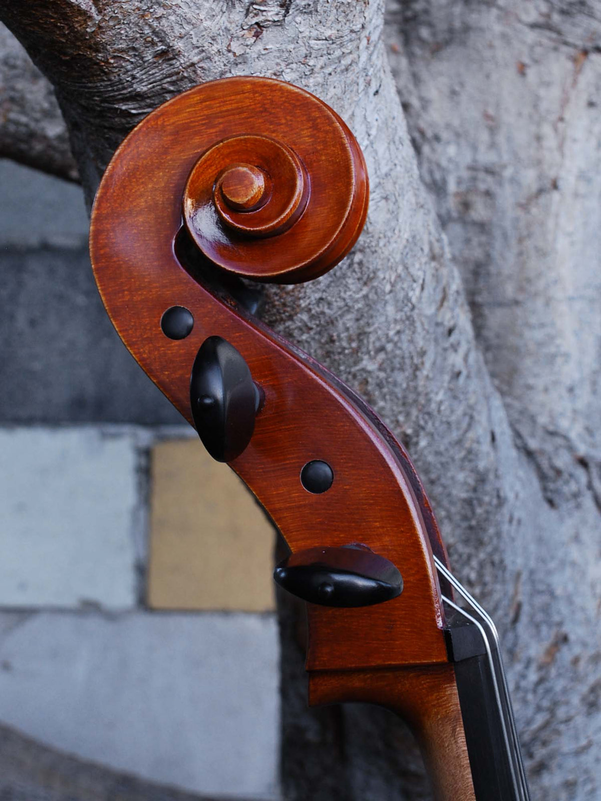 Calin Wultur Model #5 Piatti Strad 4/4 Cello