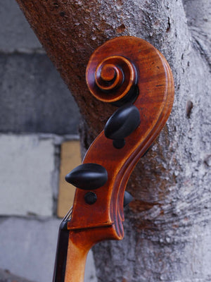 Rudolph Doetsch 701 1/4 Cello -  used