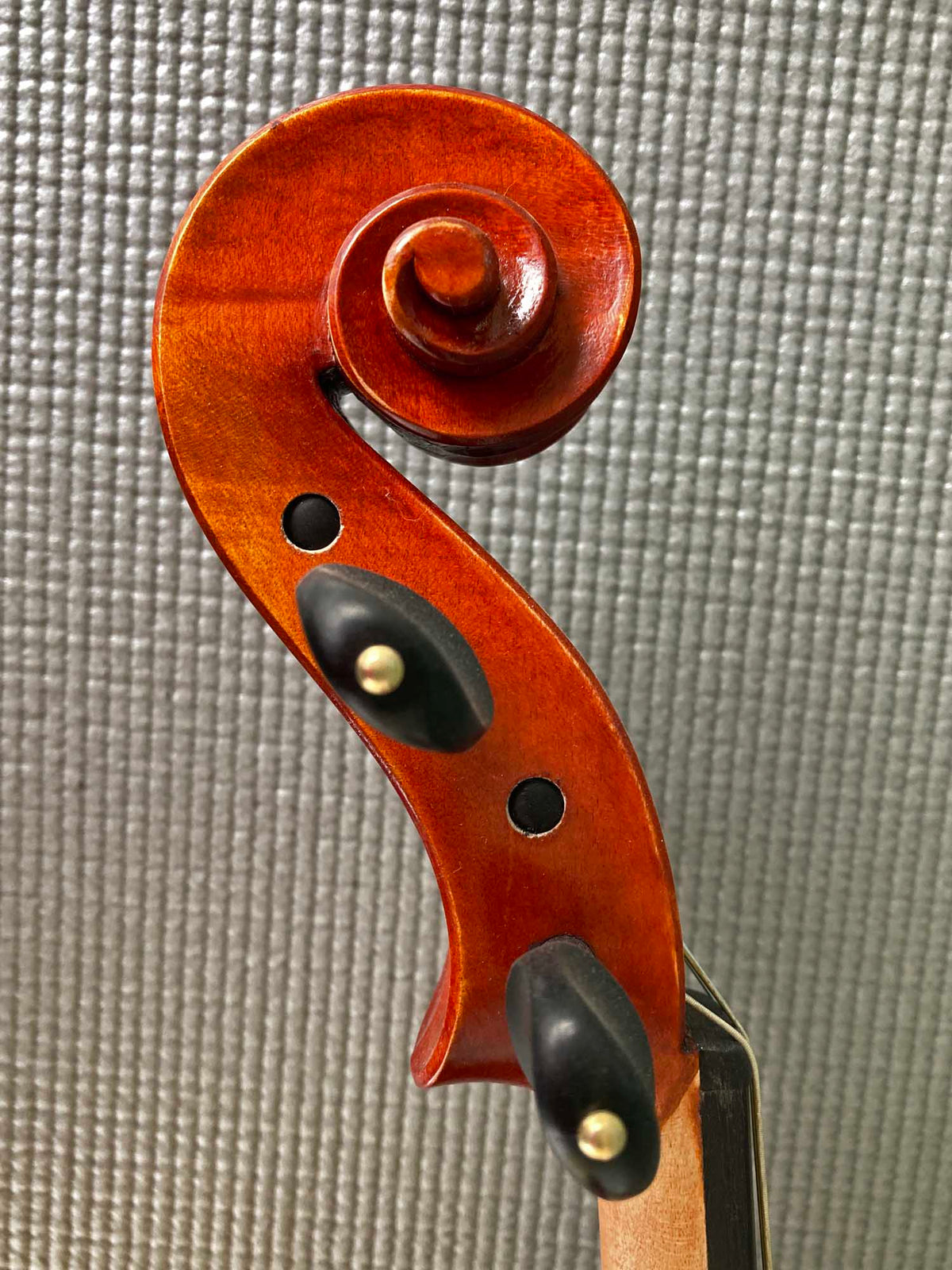 Regh 500 15 1/2" Viola