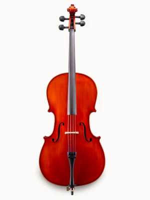Eastman SE100 Cello 4/4 and fractional sizes